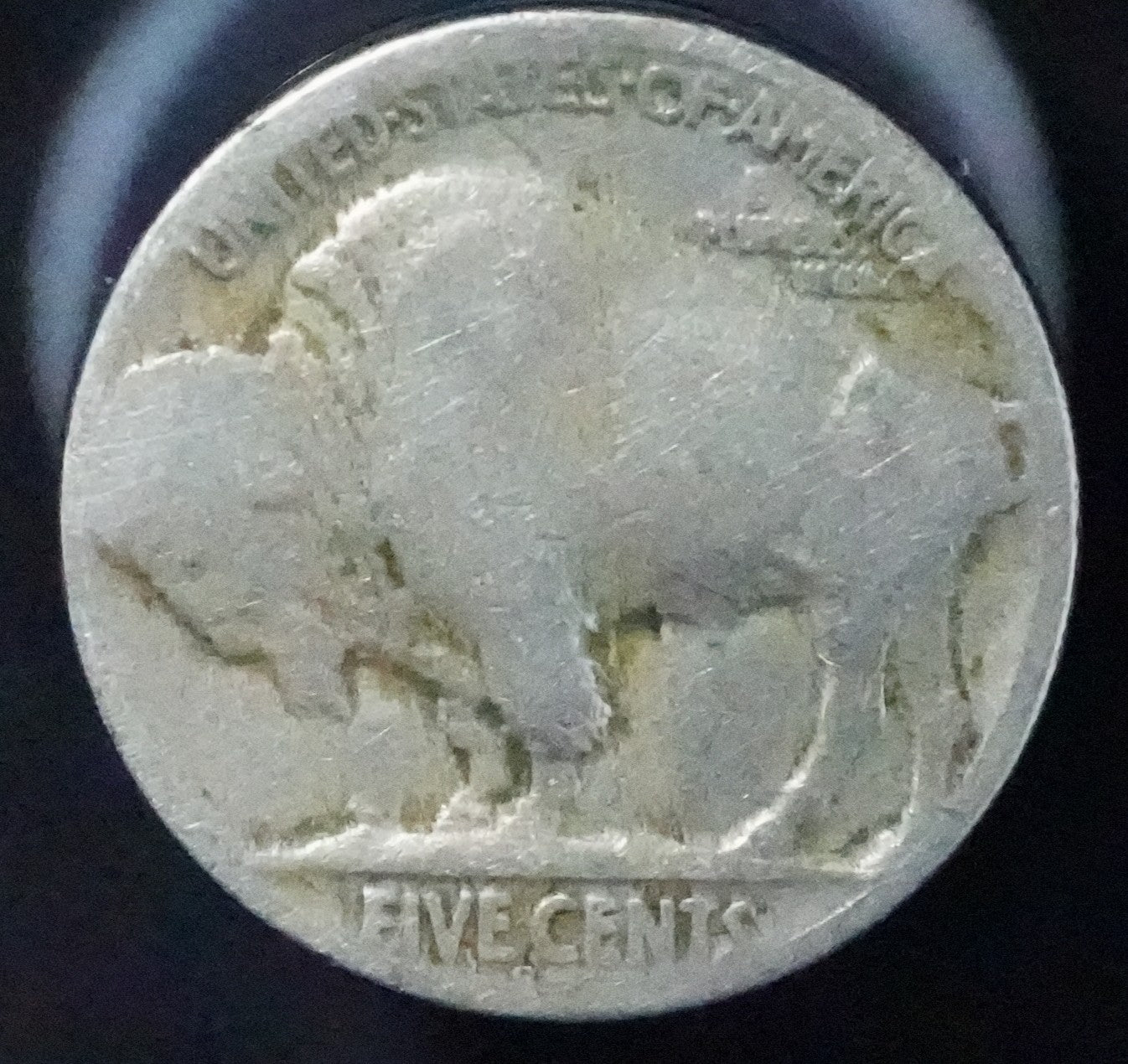 1921-S Buffalo Nickel (115)