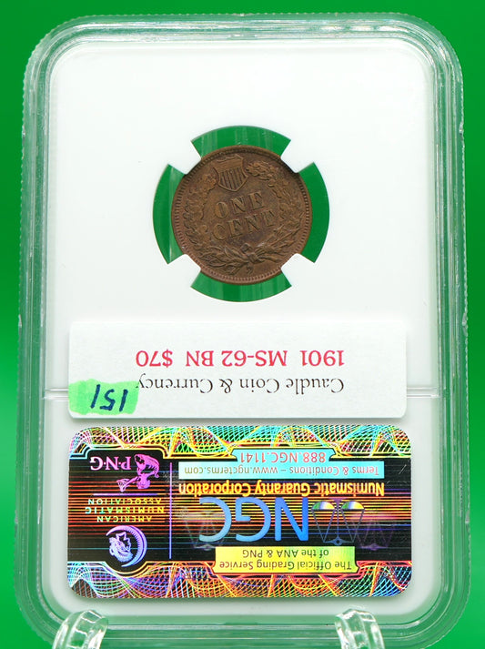 1901 Indian Head Cent MS 62 BN NGC (151)