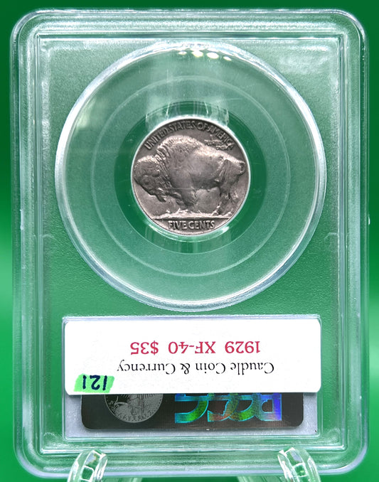1929 Buffalo Nickel XF 40 PCGS (121)