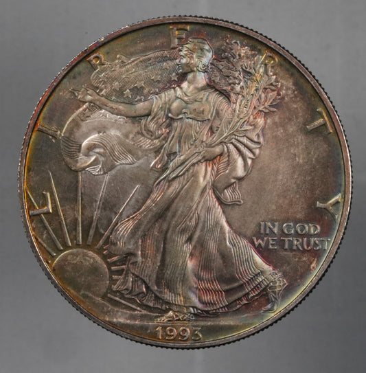 1993 American Silver Eagle - TONED (16)