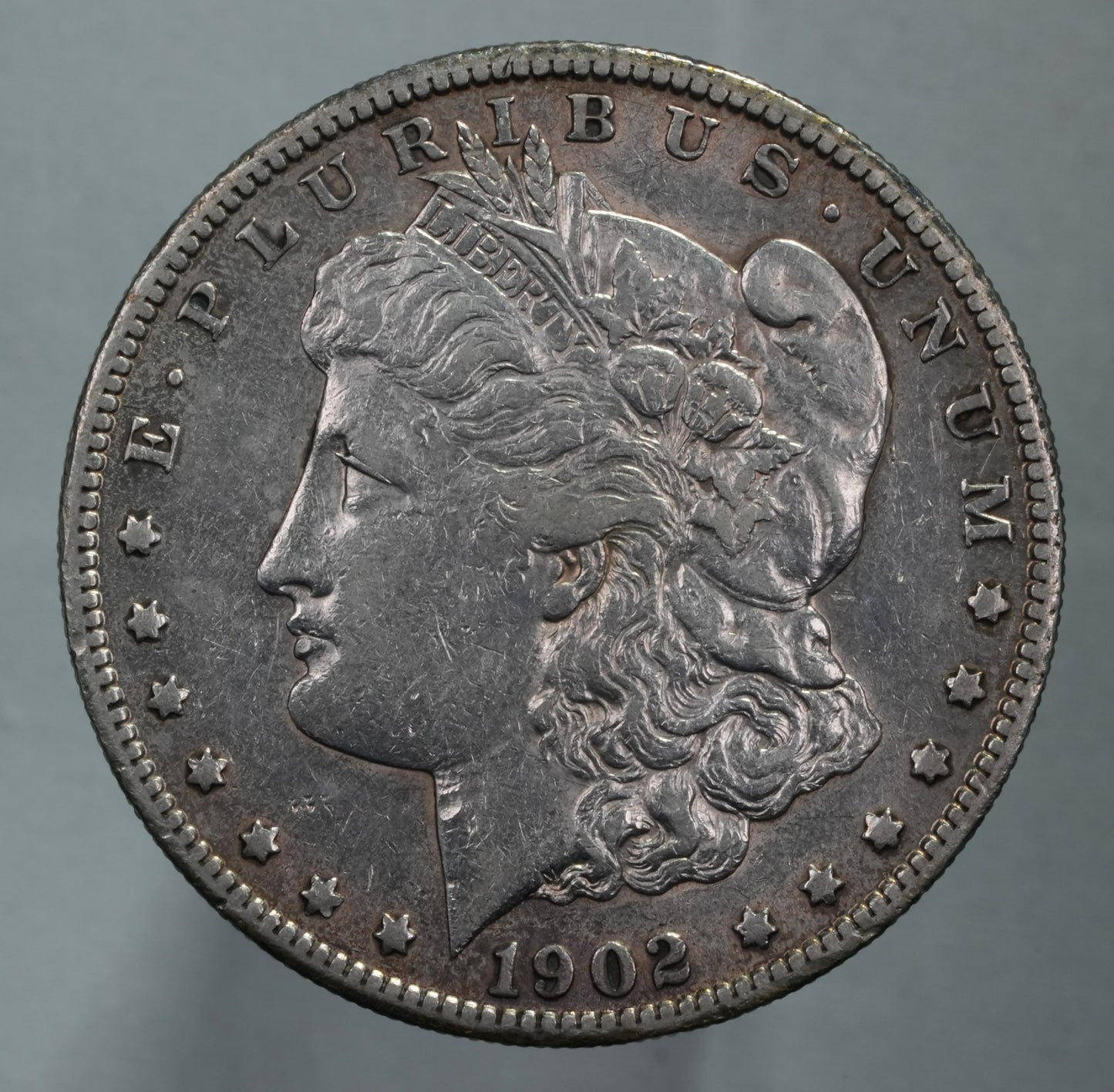 1902-S Morgan Dollar - Lightly Cleaned (18)