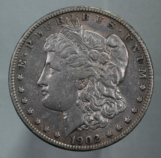 1902-S Morgan Dollar - Lightly Cleaned (18)