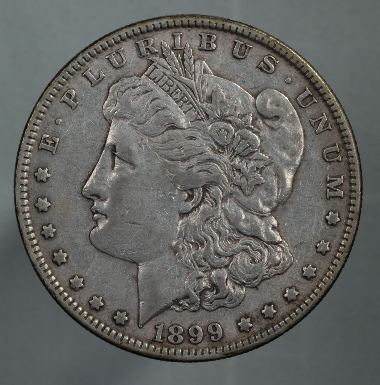 1899 Morgan Dollar - Lightly Cleaned (19)