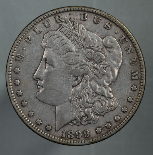 1899 Morgan Dollar - Lightly Cleaned (19)