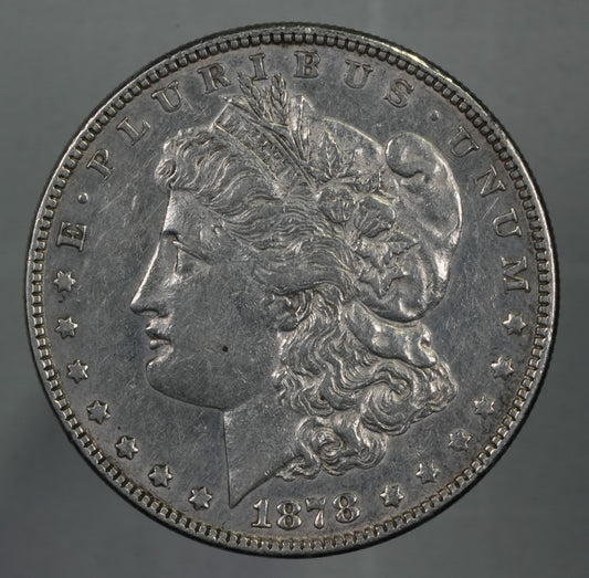 1878 - 7 Tail Feathers Rev. of 78 Morgan Dollar (22)