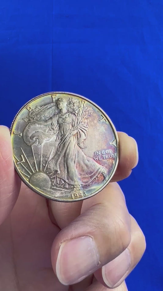 1993 TONED Silver Eagle - Check out Video (104)